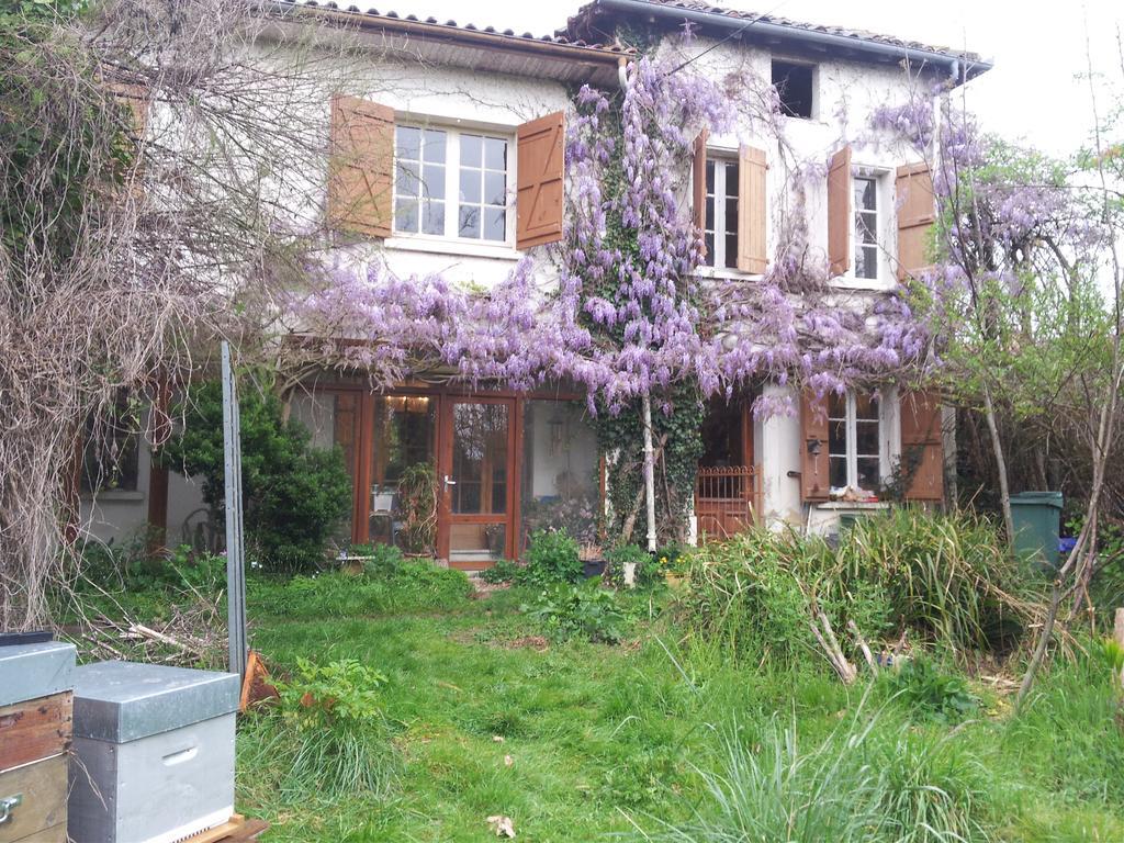 L'Estanquet Apartment Eauze ภายนอก รูปภาพ