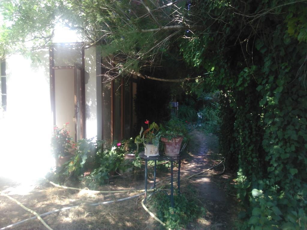L'Estanquet Apartment Eauze ภายนอก รูปภาพ